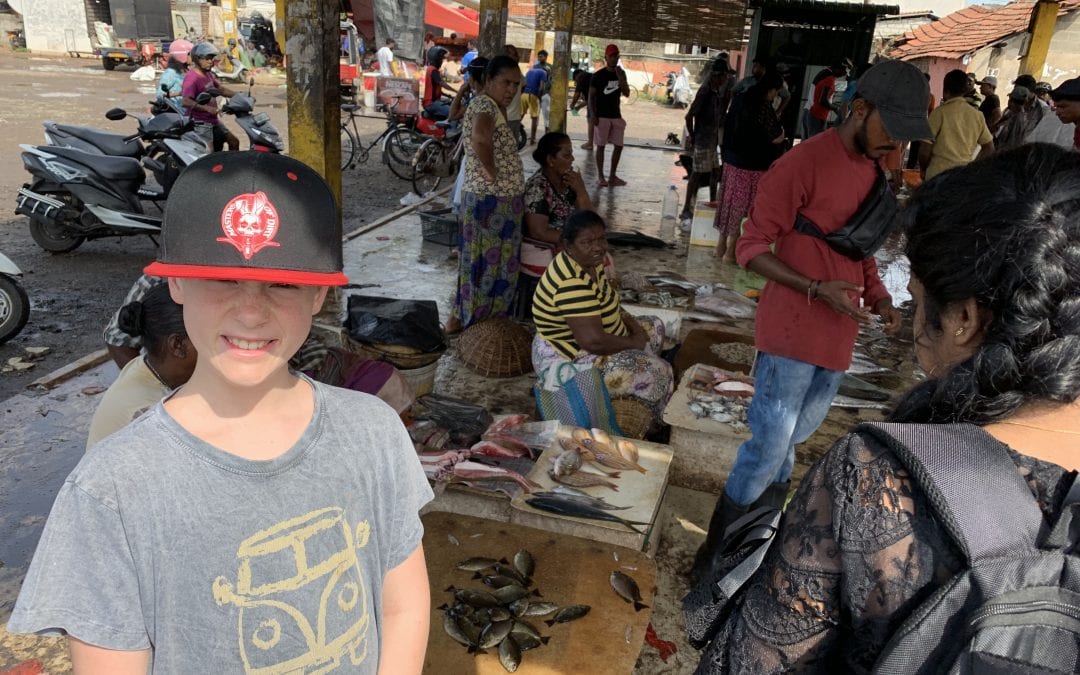 Negombo über Pinnawalla nach Dambula (2. Tag) – 1. Stop Fischmarkt
